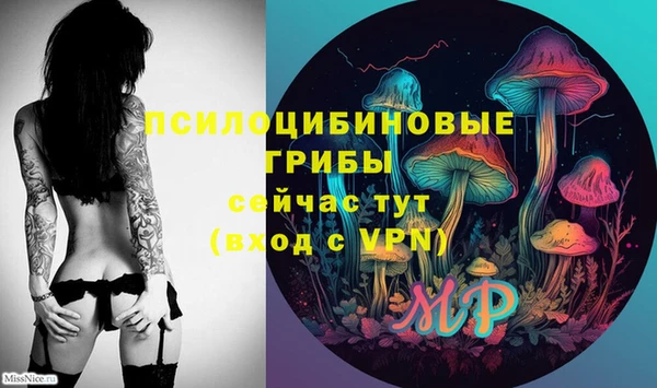 МДПВ Алзамай