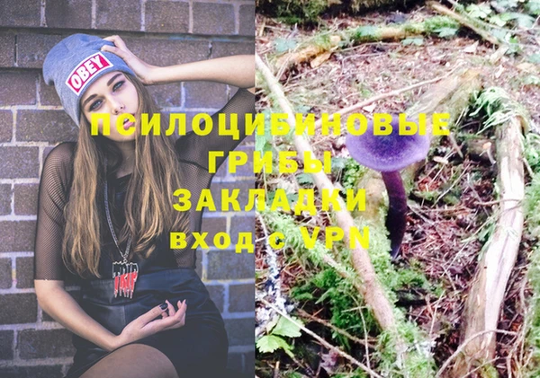 МДПВ Алзамай